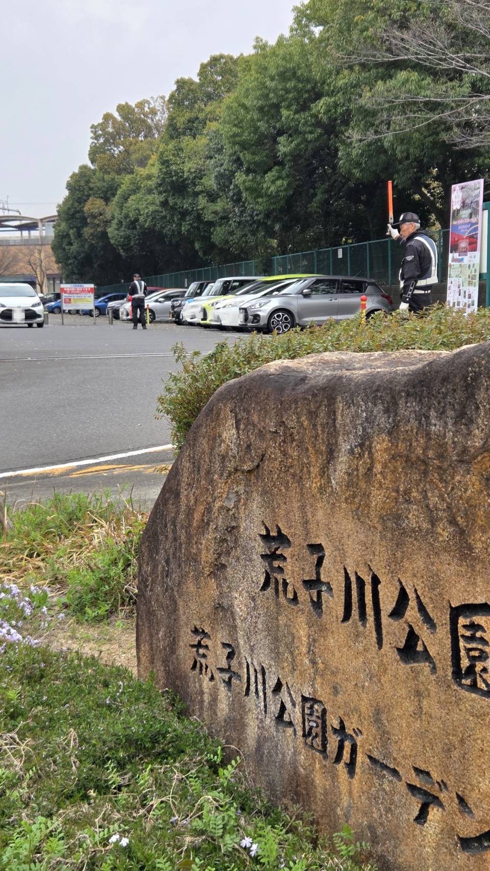 さくらまつりで交通誘導警備をしています