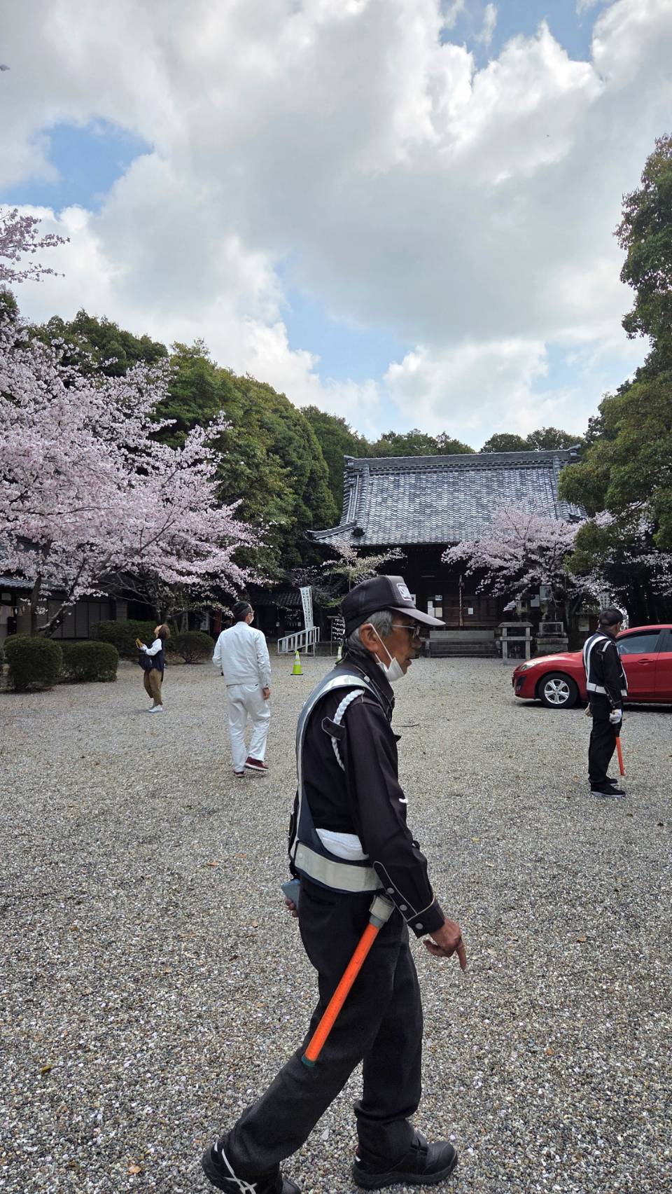 さくらまつりで交通誘導警備をしています